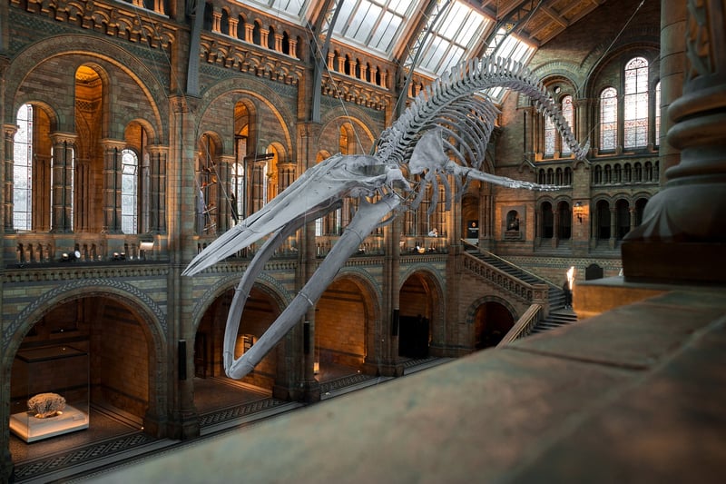 Museum Exhibit